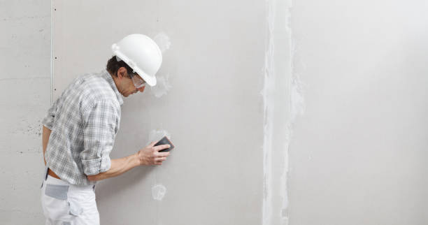 Best Mold Damage Restoration  in Geneva, FL