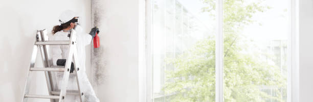 Professional Mold Removal in Geneva, FL